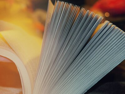 Затискні рейки