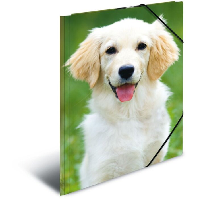 HERMA Postmappe A3 mit Gummizug Hund, Farbe: nicht angegeben, Größe: A3