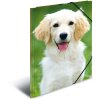 HERMA Postmappe A3 mit Gummizug Hund, Farbe: nicht angegeben, Größe: A3