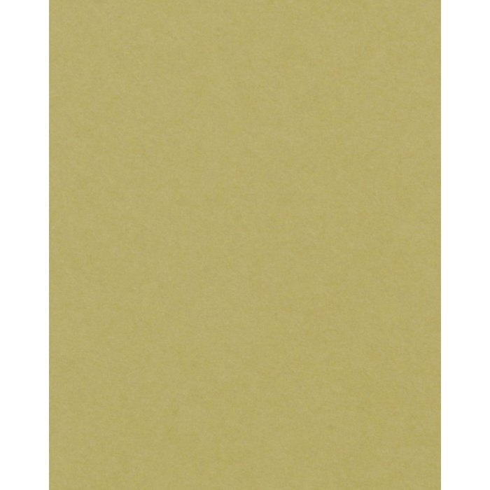 Пассатижи 20x60 см - 10x40 см Verda Artemisia