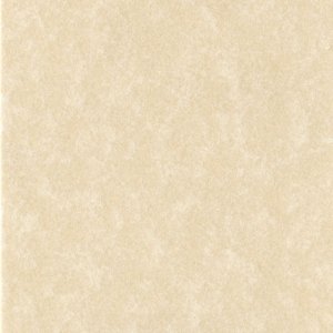 Паспарту 50x70 см - 40x60 см Perg Avorio Antico