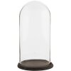 Скляна кришка для їжі 6GL1270 Clayre & Eef 23x39 см