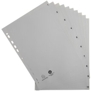 Exacompta 1710E Register A4 Recycling-PP Grau 120µ...