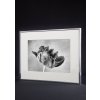 Алюминиевая фоторамка Accent, 60x80 см, белый глянцевый