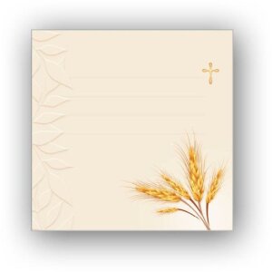 ZEP Fotoalbum COMUNION IX 31x31 cm weiß