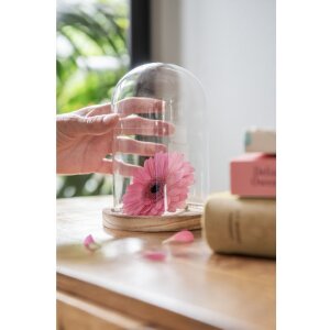 Скляна банка-дзвіночок Clayre & Eef 6GL2168 -...