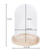 Стеклянная банка-колокол Clayre & Eef 6GL2168 - Ø 12x17 см прозрачная