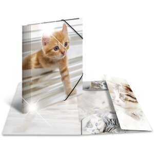 Папка Herma глянцева Тварини А4 PP Коти