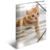 Папка Herma глянцевая Животные A4 PP Кошки