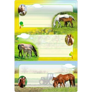 Schuletiketten Pferde, beglimmert