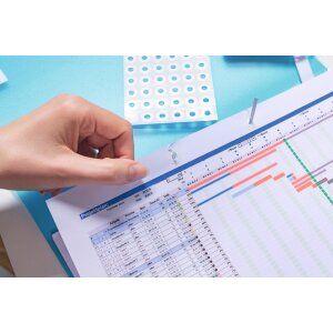 HERMA Verstärkungsringe selbstklebend auf Rolle Ø 12 mm transparent 500 St.