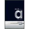 Алюмінієва фоторамка Nielsen Alpha TCSC 40x60 см платина