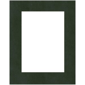 Пассатижи 30x45 см для 20x30 см черные