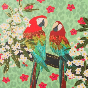 Дневник Попугаи 16,5x16,5 см