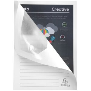Віконні папки Exacpta 100 DIN A4 160г без пластику SUPER White
