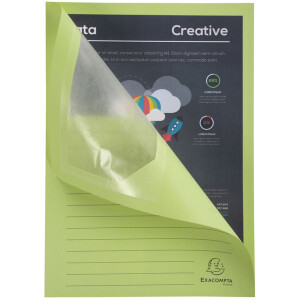 Пачка Exacpla 100 папок для вікон 22x31 см DIN A4 без пластику 160 г світло-зелена