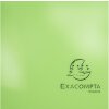 Папка Exacompta 3 клапана эластичный шнурок Iderama A4 анисовый зеленый