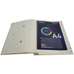 Органайзер Exacompta 24 отделения A-Z Kraft DIN A4 25x33 см