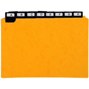 Exacompta 13758E 24 роздільники з віконними вкладками 148x210 мм