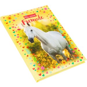 Книга друзів Goldbuch Кьяра 15x21 см 88 ілюстрованих...