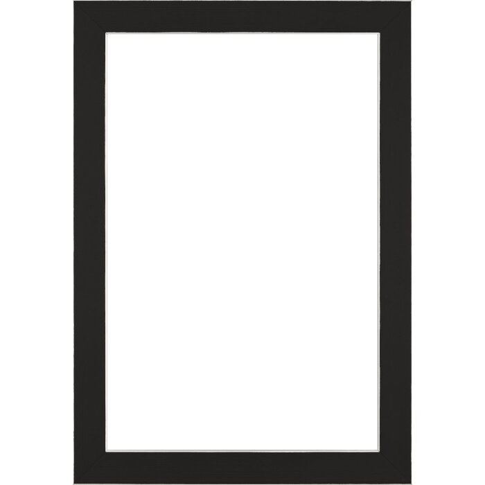 Деревяна рамка Walther Bilbao зі сріблястим кантом 25x60 см чорне прозоре скло