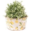 Clayre & Eef 6CE1533L Декоративный цветочный горшок Ø 19x10 см желтый