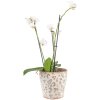 Clayre & Eef 6CE1545L Декоративный цветочный горшок Ø 17x16 см зелено-бежевый