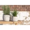 Вазон для квітів Clayre & Eef 6TE0403S Ø 14x11 см сірий - бежевий