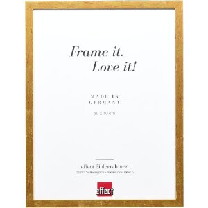 Effect Holzrahmen Profil 51 antikgold 25x50 cm Klarglas