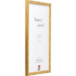 Лісовий рамок Profil 51 антик-золотий 40x50 см з чистим склом