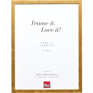 Effect Holzrahmen Profil 51 antikgold 59,4x84,1 cm Klarglas
