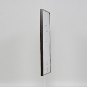 Эффектная пластиковая рама Art platinum 50x100 см антибликовое стекло