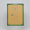 Ефектна пластикова рама Арт-зелений 50x60 см акрилове скло