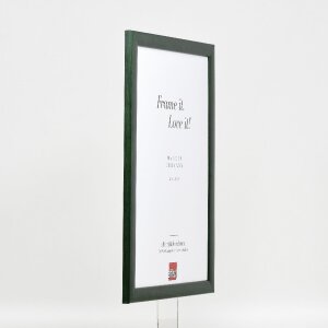 Effect Holz-Bilderrahmen Profil 43 tannengrün 35x100 cm Kunstglas