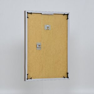 Ефектна пластикова рама Art platinum 60x80 см музейне скло