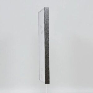 Effect Quadro Рамка для картин алюмінієва 35x100 см срібло глянц Музейне скло