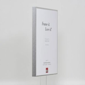 Effect Quadro Рамка для картин алюмінієва 35x100 см срібло глянц Музейне скло