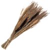Clayre & Eef 5DF0006 Сухі квіти 18x6x60 см Бежевий
