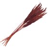 Clayre & Eef 5DF0032 Сухі квіти бамбук 100 см (10) червоний