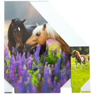 HERMA 19718 Папка для журналов A4 картонная лошадь с отверстием для ручки