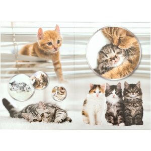 HERMA 19740 Papierkorb Katzen-Design Karton 22x31.5cm