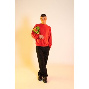 EatMySocks Короткі шкарпетки Pretty Rose Red 100% бавовна подарункова ідея