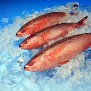 Бумага для фона "Соколиные глаза" 80x100 см цветной градиент набор из 7 штук