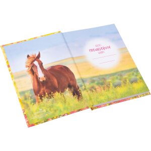 Goldbuch книга друзей Акиры 15x21 см 88 иллюстрированных страниц