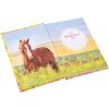 Goldbuch книга друзей Акиры 15x21 см 88 иллюстрированных страниц