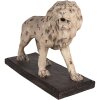 Clayre & Eef 5MG0030 Украшение Лев 55x23x40 см Бежево-коричневый