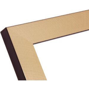 Рамка для картин Deknudt S47BB2 золото/чорний пластик 40x60см