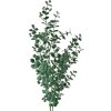 Clayre & Eef 5PL0084 Декоративна гілка зелена 8x3x70 см