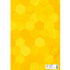 HERMA 20081 Протектор для буклетов картонный X A4 желтый