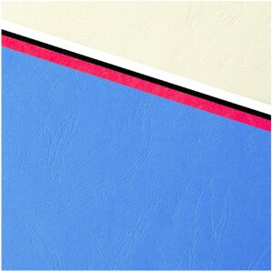 Exacompta 2790C Шкіряна обкладинка з тисненням А4 270г темно-синя 100 шт.